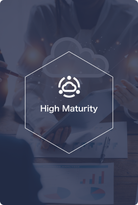 High Maturity